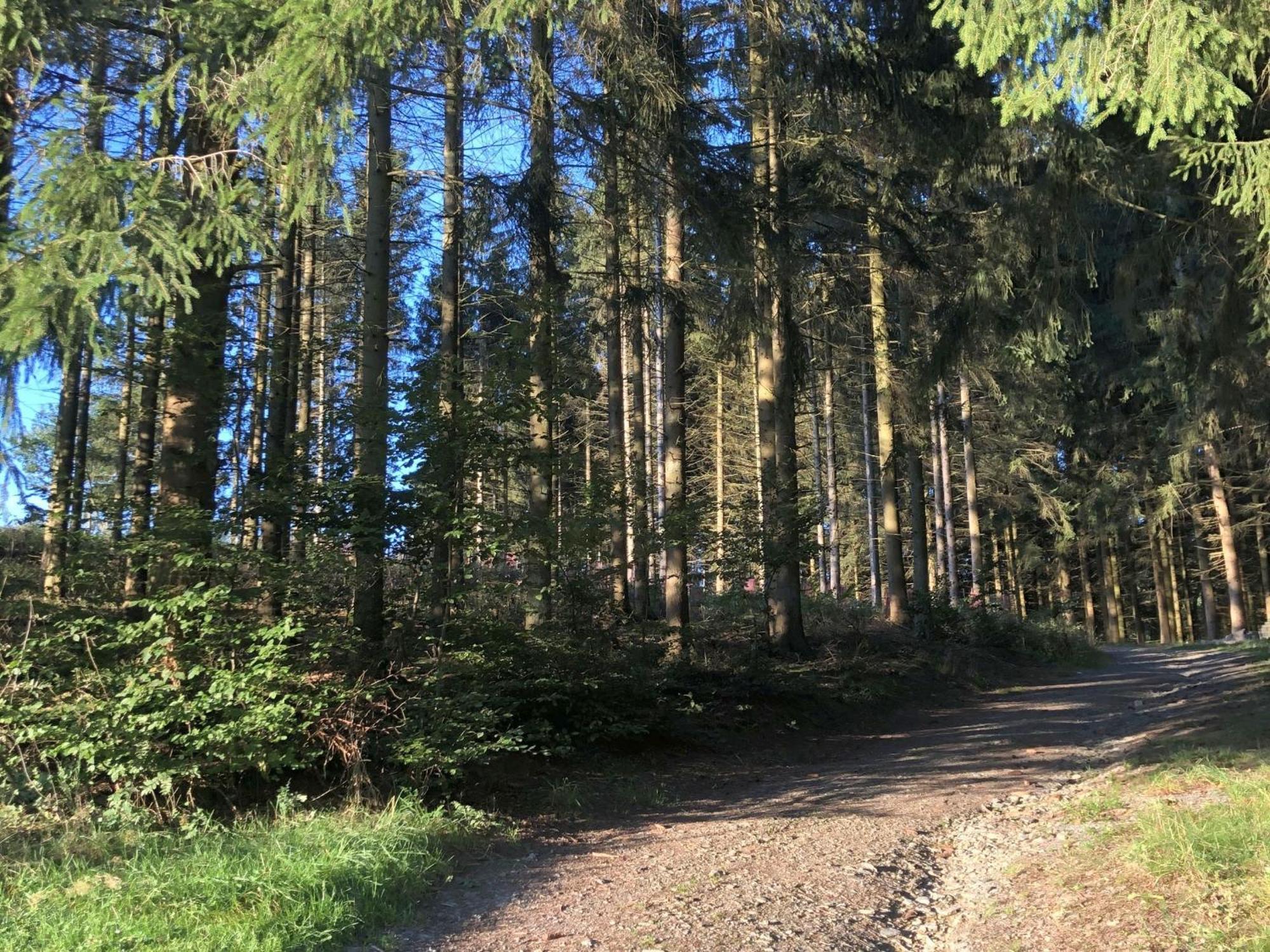 Ferienwohnungen Familie Schauerte Schmallenberg Esterno foto