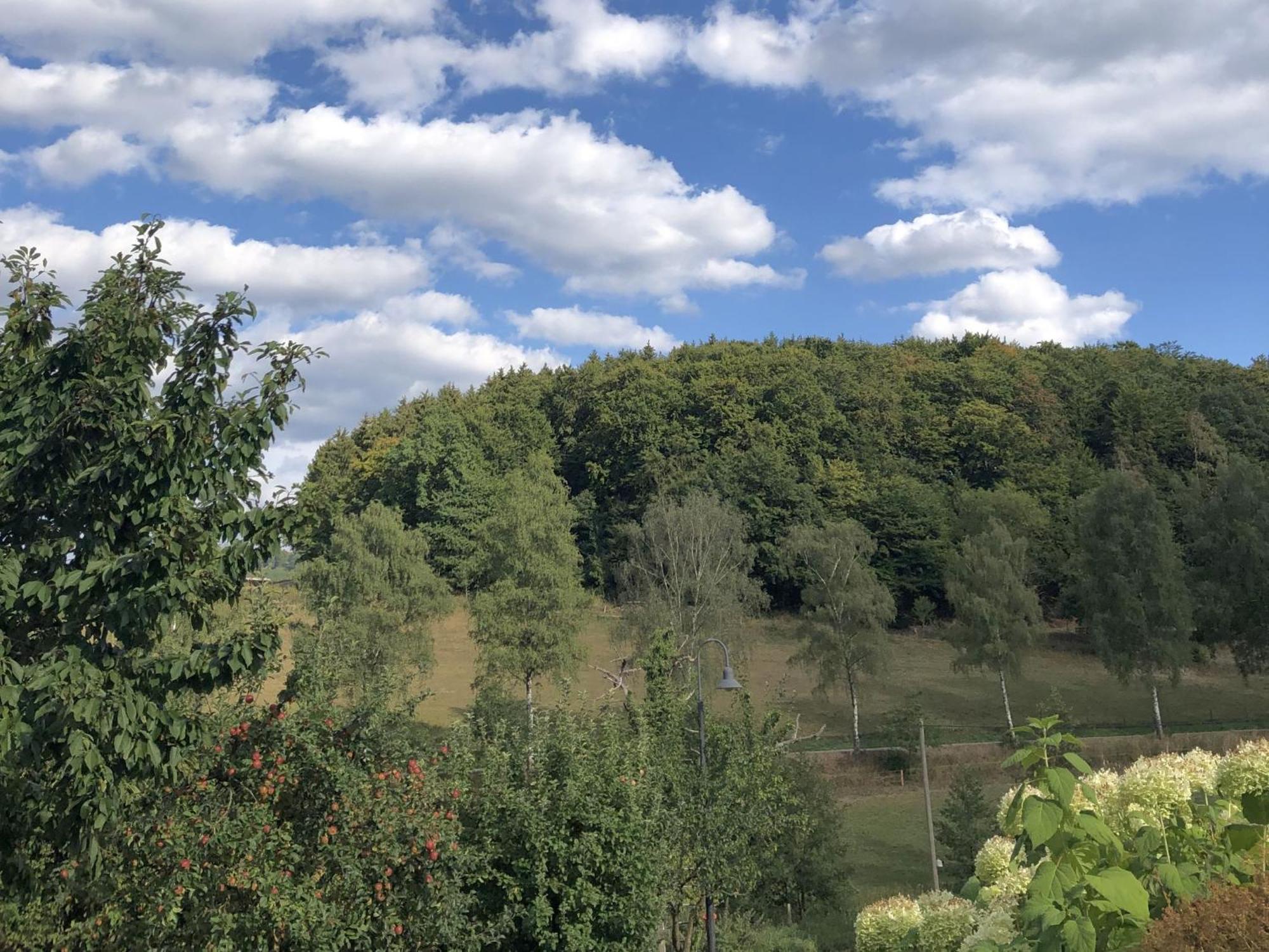 Ferienwohnungen Familie Schauerte Schmallenberg Esterno foto